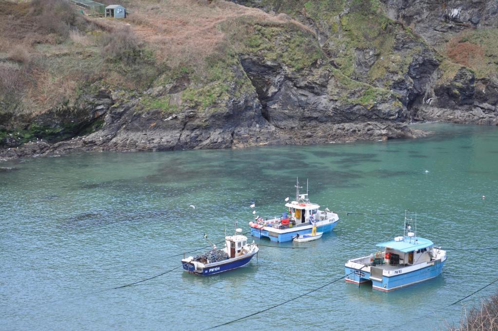 The Gallery Port Isaac Dış mekan fotoğraf