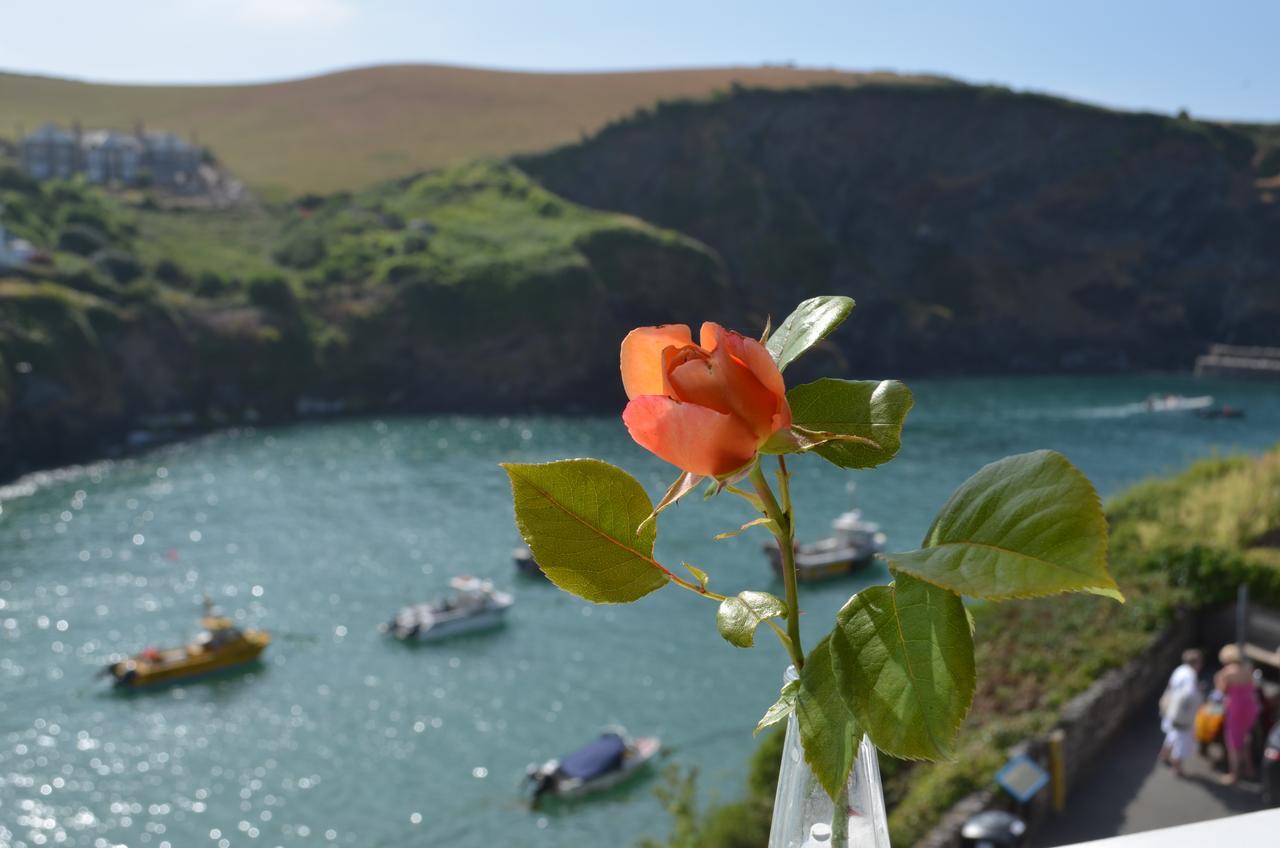The Gallery Port Isaac Dış mekan fotoğraf